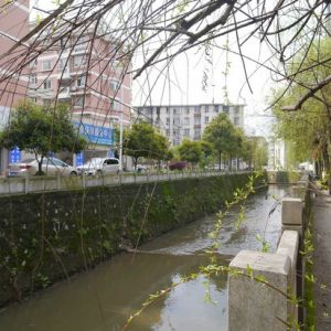 萍乡康庄路、无专路口、富丽大厦、交警支队、安源中学附近景象图片学区划分