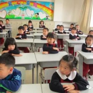 2017年萍乡安源区小学招生范围